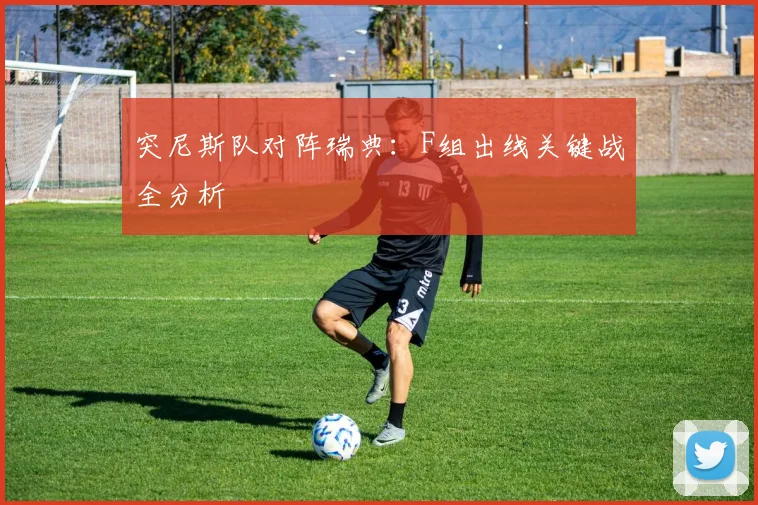突尼斯队对阵瑞典：F组出线关键战全分析