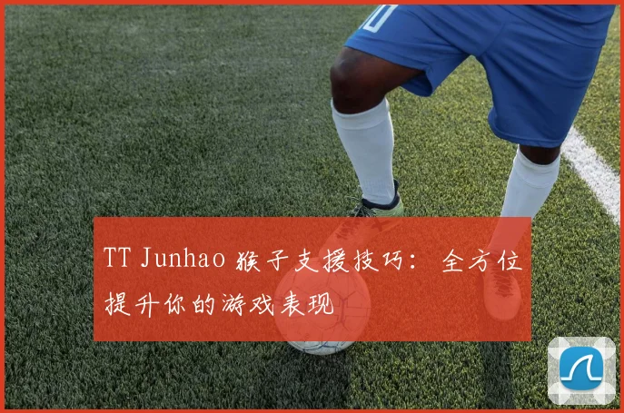 TT Junhao 猴子支援技巧：全方位提升你的游戏表现